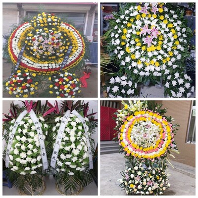 昆明东川晋宁区富民寻甸县花圈白