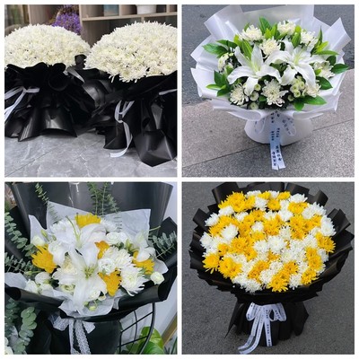 遵义桐梓县习水湄潭正安县菊花鲜