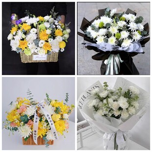 长沙市芙蓉区岳麓区雨花区菊花鲜花同城配送清明上坟扫墓祭奠悼念