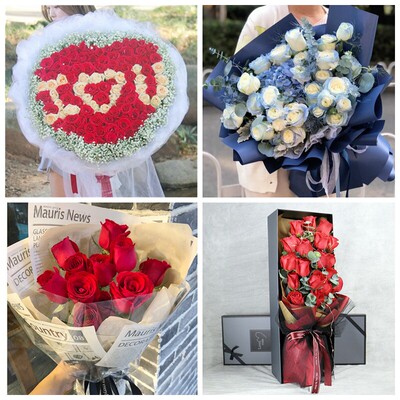 焦作市修武县武陟县博爱县温县生