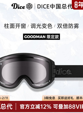 日本进口DICE雪镜柱面开窗超高清调光变色2倍防雾26限定款GM0412