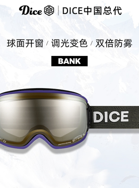 日本进口DICE滑雪镜球面开窗防划伤调光变色2倍防雾26新款BK0702
