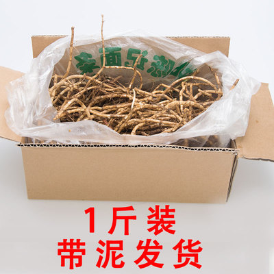 贵州高山折耳根现挖新鲜鱼腥草猪鼻孔当季野蔬菜嫩根凉拌下饭菜