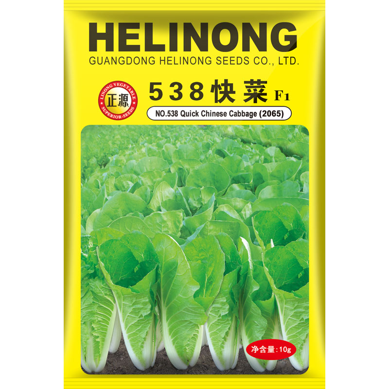 和利农 正源538快菜种子小白菜种籽春季四季耐热青菜蔬菜菜种籽孑图片
