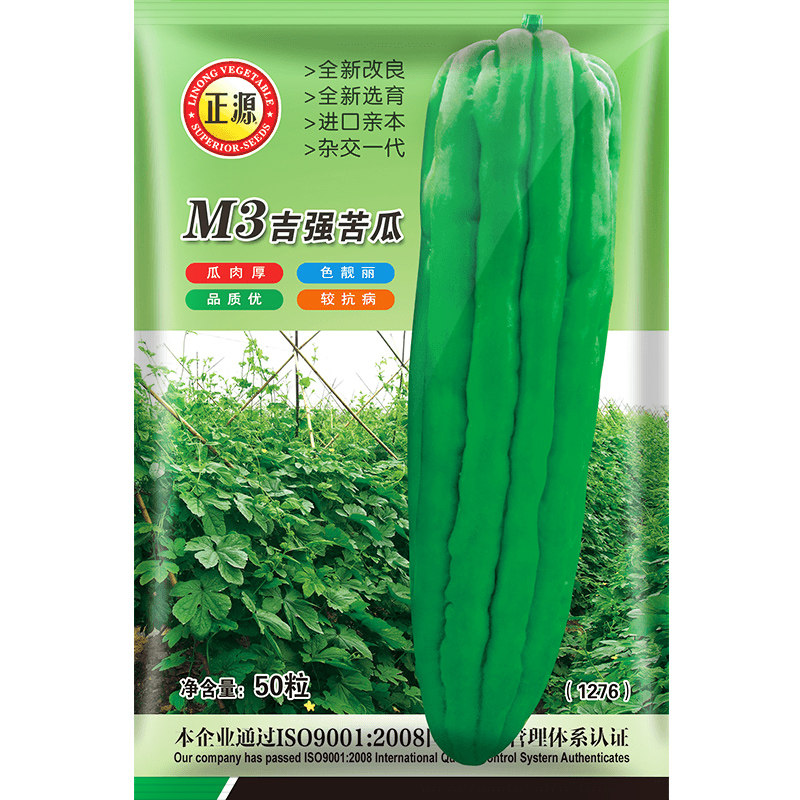 和利农 正源M3吉强苦瓜种子油身绿直条苦瓜种籽庭院四季蔬菜种孑