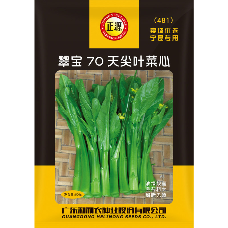 正源翠宝70天尖叶菜心种子图片