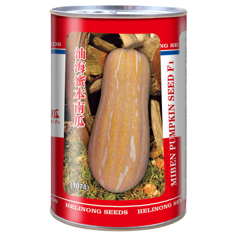 正源南瓜种子和利农四季