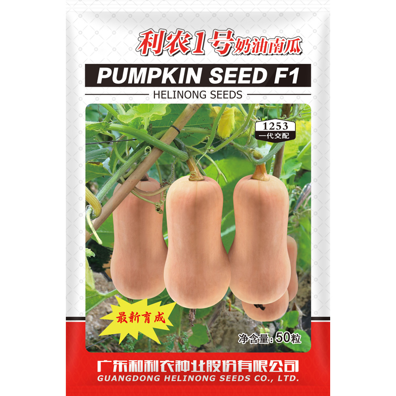 利农正源奶油南瓜种子