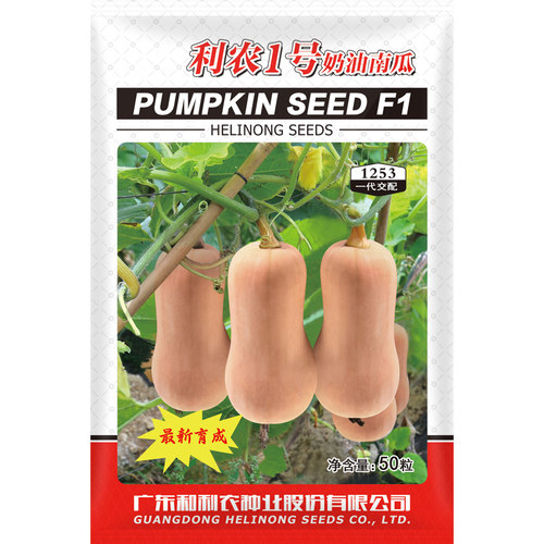 利农正源奶油南瓜种子