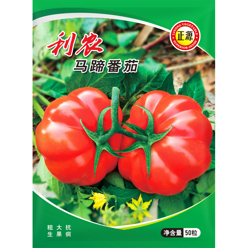 四季抗病高产大红果番茄种子