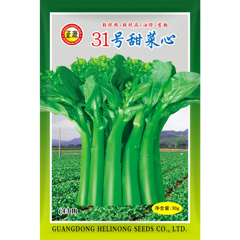正源甜菜心和利农四季图片