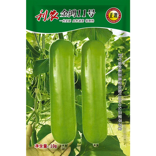 和利农正源金鸿11号瓠瓜种子短蒲瓜种籽农家菜葫芦小瓠子蔬菜种孑
