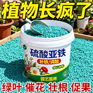 硫酸亚铁花肥铁肥栀子茉莉米莱绿萝文竹铁树专用肥花肥酸性肥通用