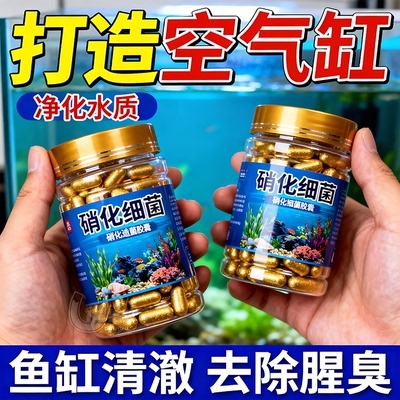 鱼缸硝化细菌分解鱼便去腥味
