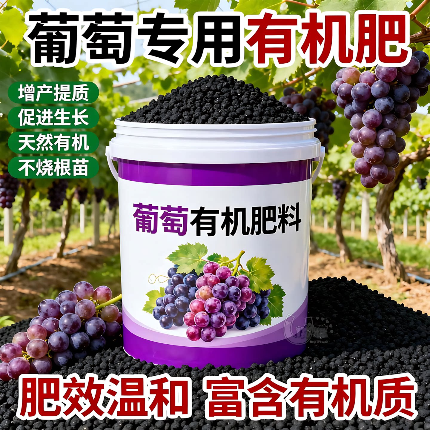 葡萄专用肥膨果增甜上色快