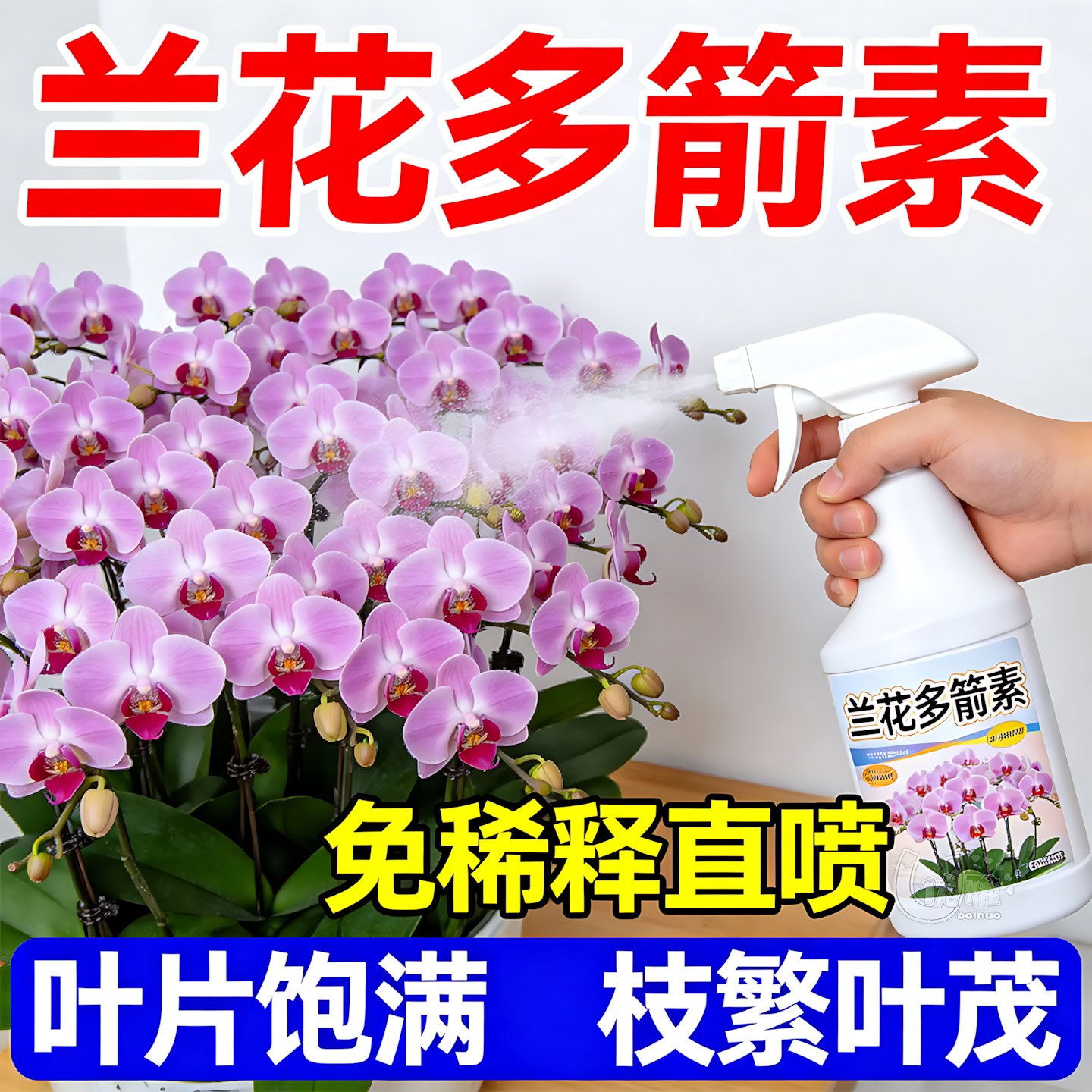 兰花多箭素叶面灌根两用吸收更快