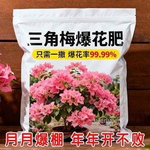 快速开花粉茶花桂花三角梅茉莉通用型生根粉壮苗促花盆栽养花肥料