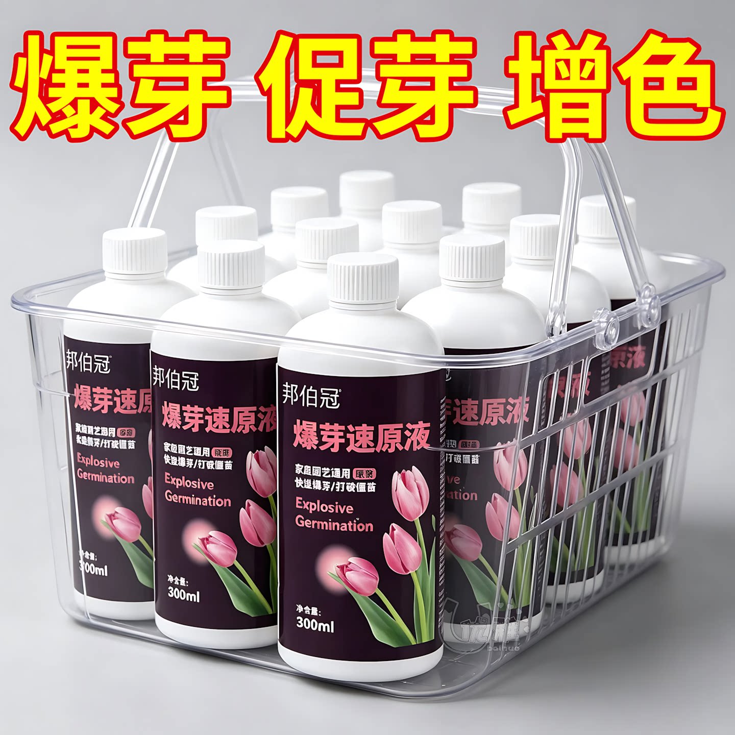 爆芽原液催花芽增开花量盆栽养护