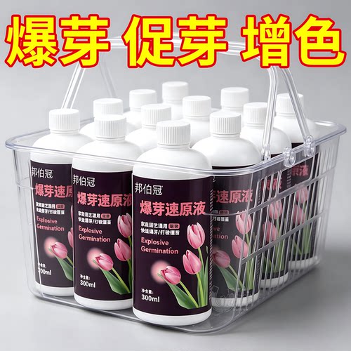 爆芽原液催花芽增开花量盆栽养护