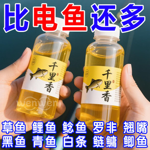 四季 用千里香小药钓鱼诱鱼剂野钓鲤鱼鲫鱼黑坑专用开口剂饵料鱼饵