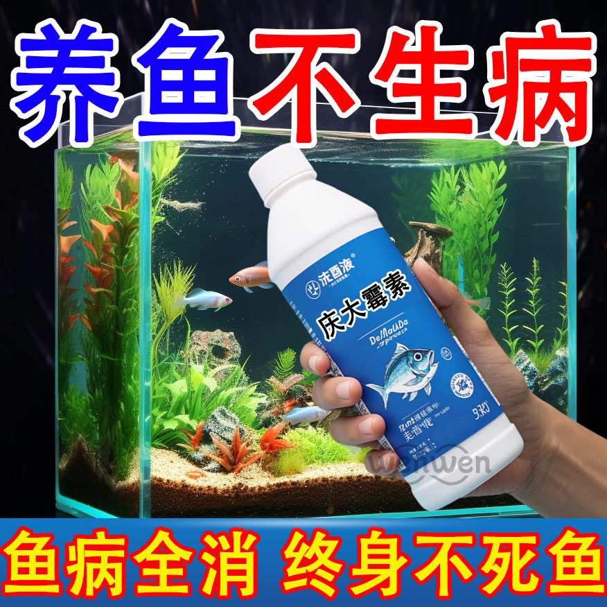 庆大霉素炸鳞立鳞烂鳃烂尾白毛白点观赏鱼淡水鱼龙鱼海水鱼可用