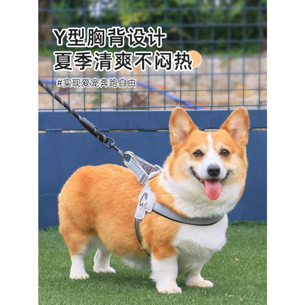 狗狗胸背带牵引绳背心式背带防爆冲中型犬用品柯基柴犬项圈小型犬