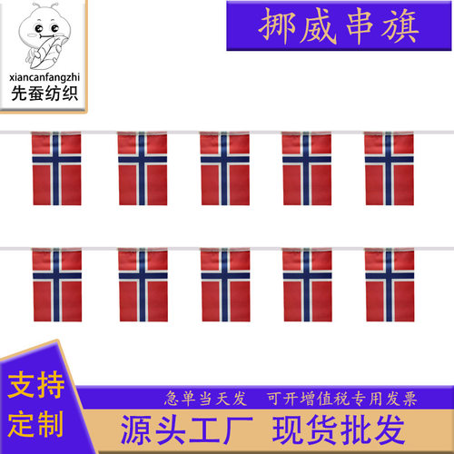14×21cm挪威串旗方形球迷旗帜20