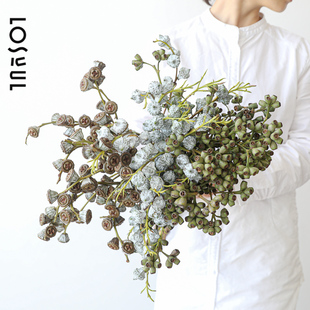 桉树果尤加利果野奢鲜花观果可做干花商业空间水培植物高级感切枝