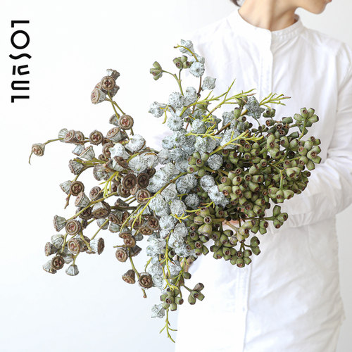 野奢鲜花观果可做干花