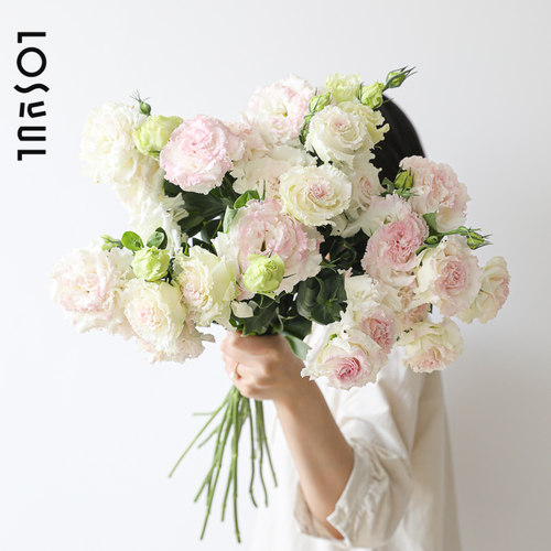 冰淇淋洋桔梗每周一花情绪稳定