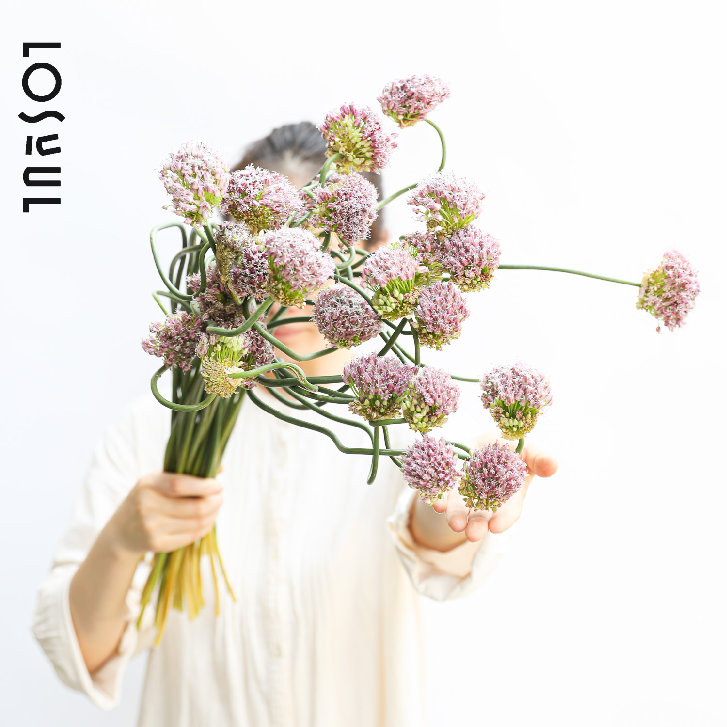 日本进口歪葱花鲜切花小众鲜花