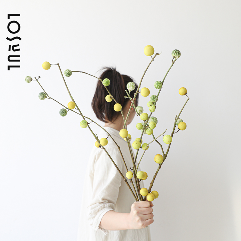 小西瓜鲜切野奢鲜花观果小众ins商业空间家用水培植物高级感趣味,鲜花速递/花卉仿真/绿植园艺,花材,淘宝优惠券,粉丝福利购,淘宝优惠卷