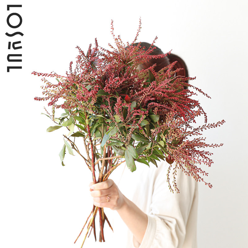 山里红鲜切生活小众鲜花ins植物室内插花装饰氛围感花日式高级感