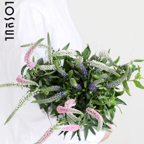 花朵紧实，提升家居品味
