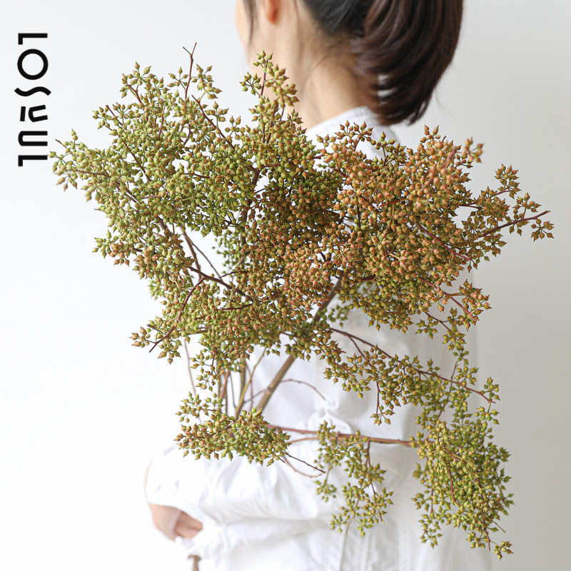 小米果鲜切 野奢鲜花观果小众 商业空间家用水培植物高级感,鲜花速递/花卉仿真/绿植园艺,花材,淘宝优惠券,粉丝福利购,淘宝优惠卷