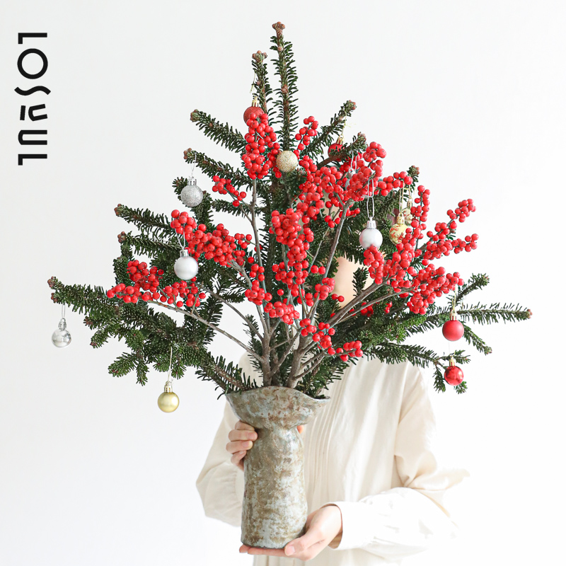 诺贝松圣诞真树天竺少女松枝