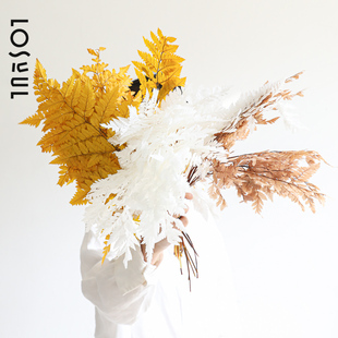 羊齿叶永生花花束真花蕨叶花艺装饰干花真花蕨叶干花