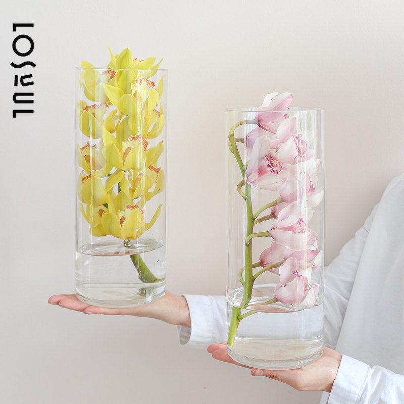 瓶中花大花蕙兰鲜花惠兰鲜切礼物家庭高级氛围感花艺小众淡雅顺丰,鲜花速递/花卉仿真/绿植园艺,花材,淘宝优惠券,粉丝福利购,淘宝优惠卷