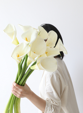 白色马蹄莲鲜花海芋鲜切花小众Ins室内办公室桌面插花水养装饰花