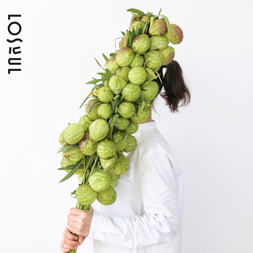 唐棉气球鲜花枝条造型禅意