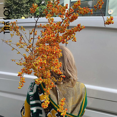 南蛇藤鲜切枝可做干花野奢花束