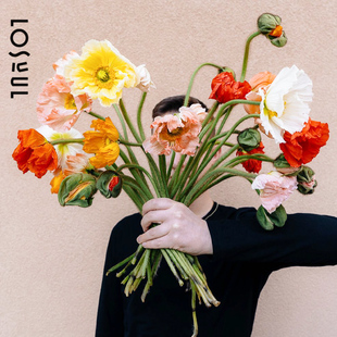 虞美人鲜切花花色花材小众ins氛围感家庭插花高级好养活鲜花花束