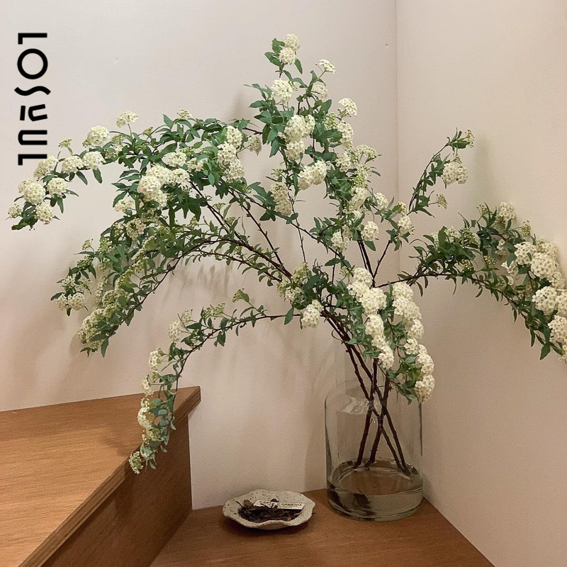 雪柳鲜花野奢A级鲜切花