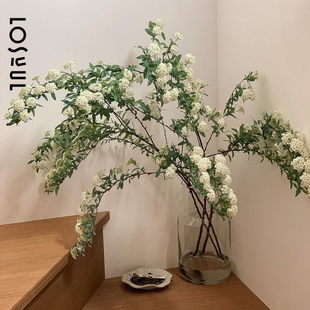 小手球A级雪柳鲜花带花苞鲜切小众ins家用插花冬季花期长重瓣单瓣