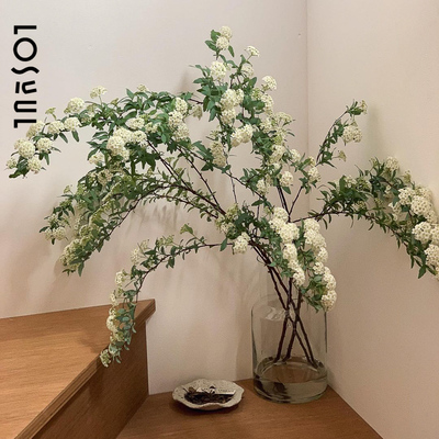 小手球A级雪柳鲜花带花苞鲜枝新年装饰家用插花花期长重瓣单瓣