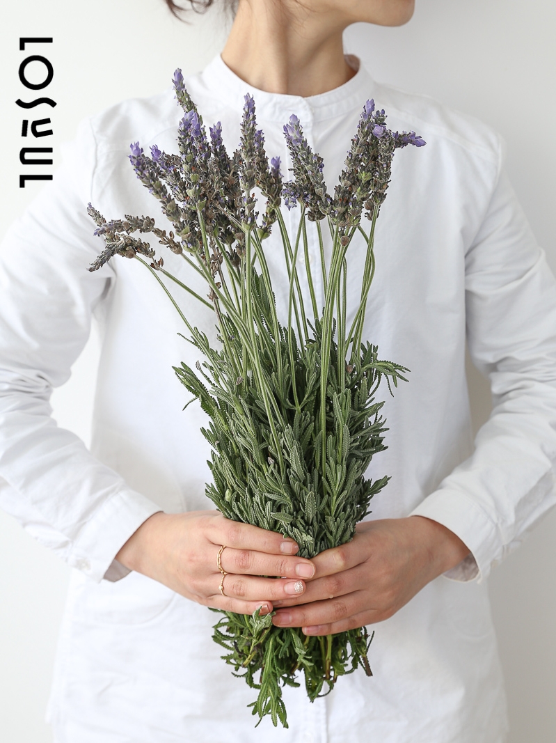 鲜切薰衣草天然香薰安眠可做干花