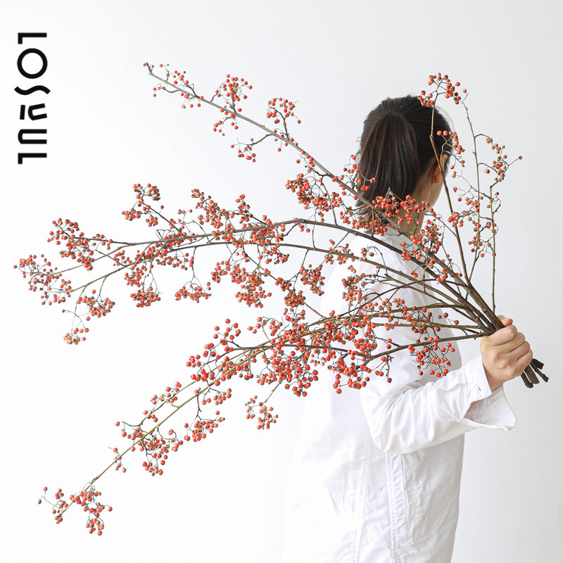 山桐子鲜切花火棘果红色小冬青观果水培插花红色花束客厅装饰摆件,鲜花速递/花卉仿真/绿植园艺,花材,淘宝优惠券,粉丝福利购,淘宝优惠卷