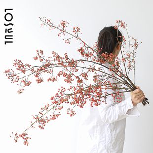 山桐子鲜切花火棘果红色小冬青观果水培插花红色花束客厅装饰摆件