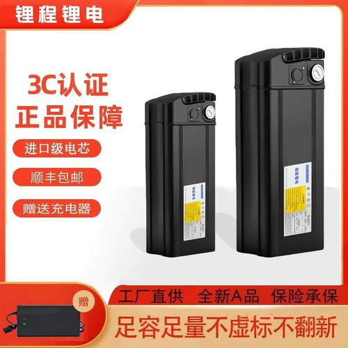 折叠车电瓶48V海霸电动车锂电池