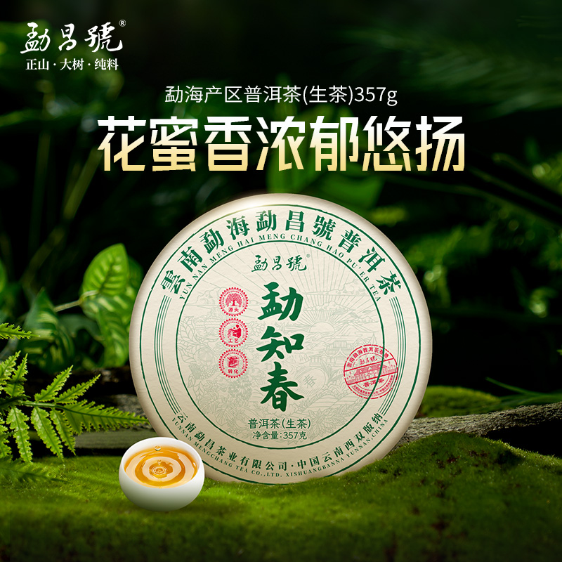 【赠试泡】勐昌號勐知春普洱茶生茶云南七子饼生普357g自饮口粮茶